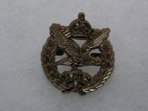 WWII Army Air Corps Cap Badge in Plastic