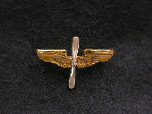 WWII U.S. Army Air Corps Officer's Branch of Service Insignia