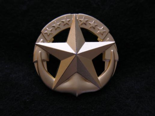 U.S.Navy Command at Sea - Officers Breast Badge