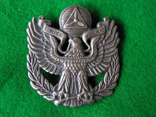 A U.S. Civil Air Patrol Officer's Cap Badge.