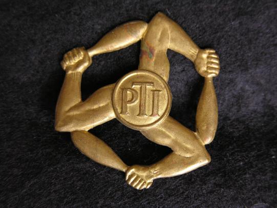 Pre WWII Royal Air Force Physical Training Instructors Badge