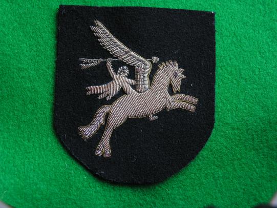Parachute Regiment Badge in Bullion