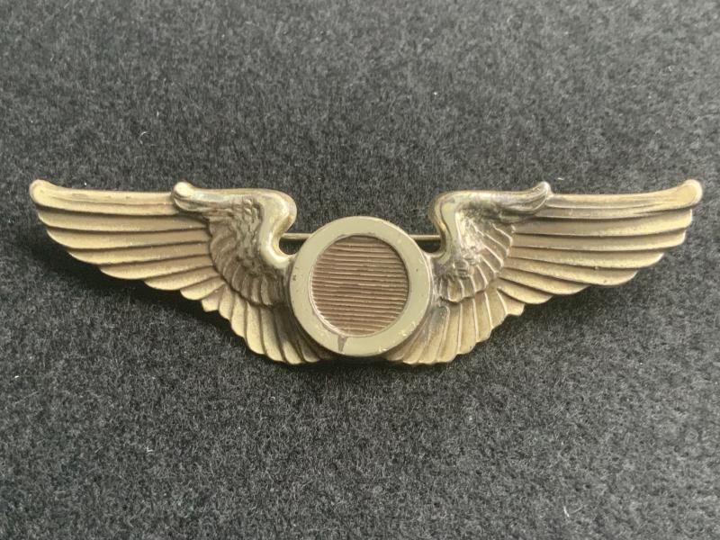 WWII US Army Air Force Combat Observer Wing