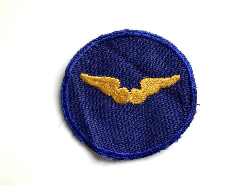 American Flight Instructor