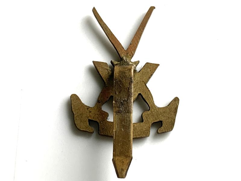 V Forces Cap Badge